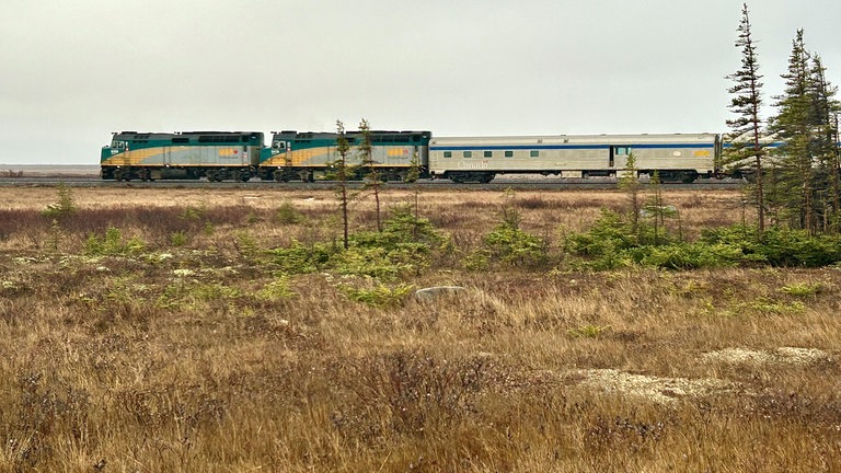 Der Personenzug von Via Rail-Zug in der kanadischen Tundra