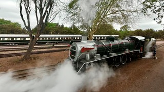Die Dampflok von Rovos Rail vor der Abfahrt des Zuges nach Durban im Bahnhof von Pretoria