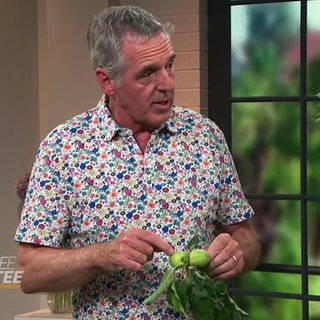 Agrarexperte Werner Ollig im Studio