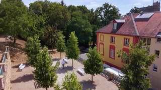 Kirchheimbolanden