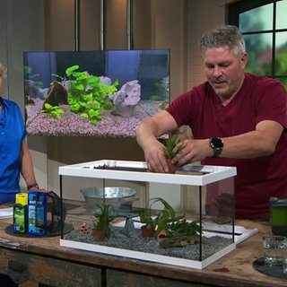 Moderatorin Heike Greis und Jürgen Leutner mit einem Aquarium