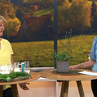 Wildpflanzenpädagogin Monika Amann und Moderatorin Fatma Mittler-Solak reden über Wildkräuter
