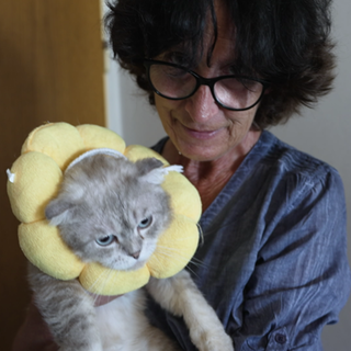 Heidrun Mahl hält eine ihrer Katzen liebevoll im Arm – Sinnbild für ihr Engagement im Tierschutz und die Rettung von Streunerkatzen.
