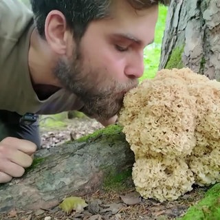 Youtuber Max Herczog küsst einen Pilz an einem Baum