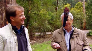 Frank Elstner und Matthias Reinschmidt