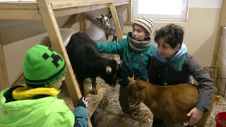 Kinder und Ziegen in einem Stall in Rulfingen. Das Projekt wird von der SWR Herzenssache unterstützt.
