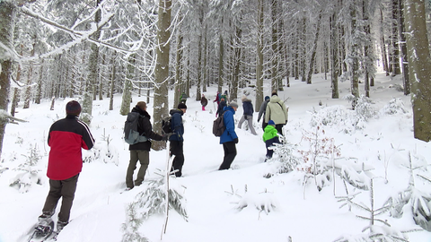 Schneeschuh-Wanderung im Nationalpark Schwarzwald