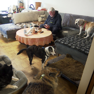 Tierretter Jürgen Völker sitzt auf seiner Couch. Um ihn herum liegen Hunde und Hunde-Körbchen.
