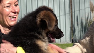 Ein Schäferhund-Welpe liegt in den Armen von Elke Rath. Der Schäferhund guckt nach rechts mit offenem Mund. Elke Rath ist oben links im Bild zu sehen und lächelt.