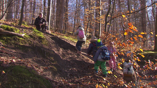 Kinder klettern im Wald einen kleinen Berg hoch. Ein Erzieher hilft ihnen mit einem Seil.