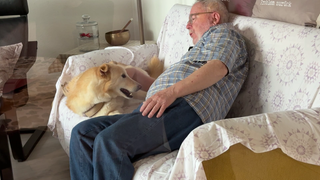 Straßenhund "Nice" mit seinem neuen Besitzer