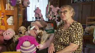 Seniorin sitzt neben ihrer Sammlung an Plüsch-Schweinen und Figuren.