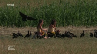 Zwei Frauen sitzen auf einem Feld mit vielen Waldrappen