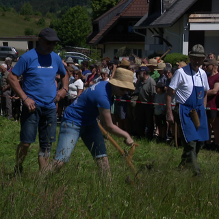 Mähwettbewerb in Bernau im Schwarzwald