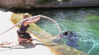 Zwei Tierpfleger reinigen das Schwimmbecken der Seelöwen.