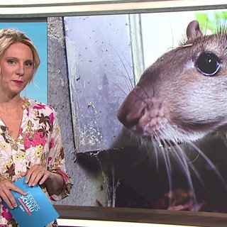 Moderatorin Jana Kübel