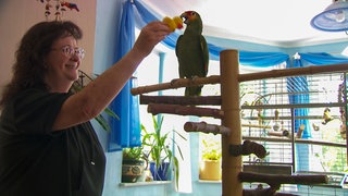 Eine Frau spielt mit einem Papagei. 