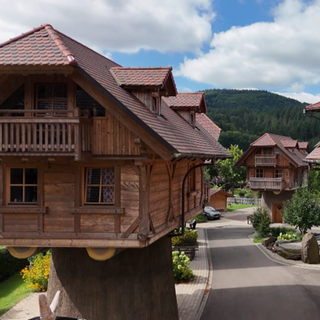 Drei Häuser wurden auf dicke Baumstämme gebaut und formen jetzt das Baumhaus-Dorf.