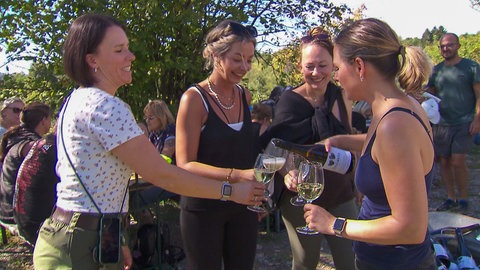 Vier Frauen stoßen mit Weingläsern an. Sie stehen an einem Weinberg.
