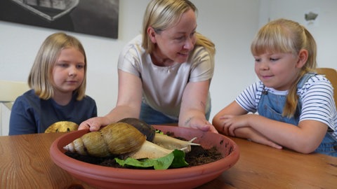 Schnecken als Therapiebegleiter