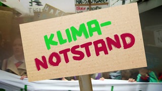 Demo, Plakate, Aufschrift "Klimanotstand"