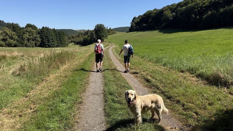 Weite Wiesen sind zu sehen, sowie zwei Personen und ein Hund.