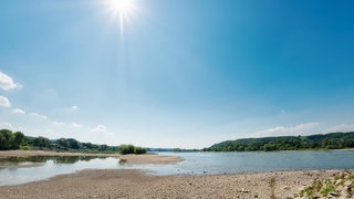 Ausgetrockneter Rhein unter gleisender Sonne