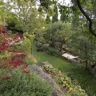 Ein grüner Garten