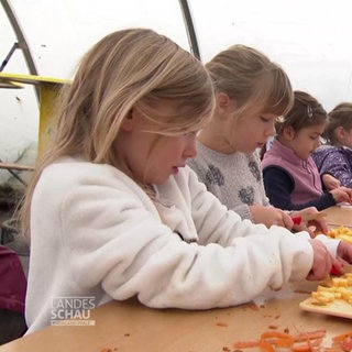 Kinder schnitzen an Kürbissen