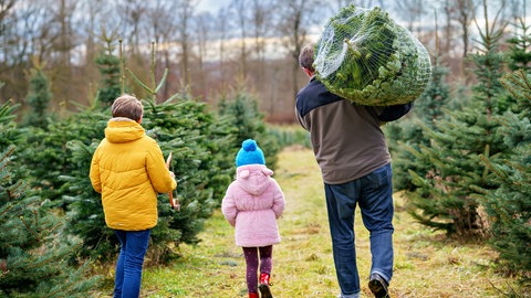 Familie beim Weihnachtsbaumkauf