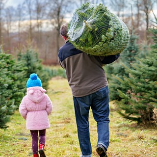 Familie beim Weihnachtsbaumkauf