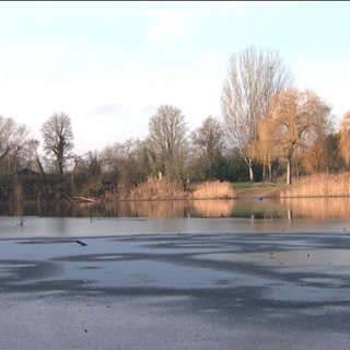 Russenweiher