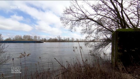 Flussufer