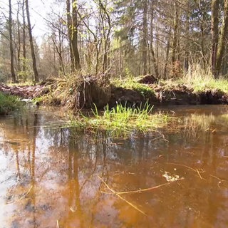 Tümpel