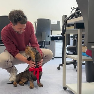 Ein Hund im Büro einer Uni