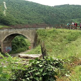 Wandern auf dem Ahrsteig.