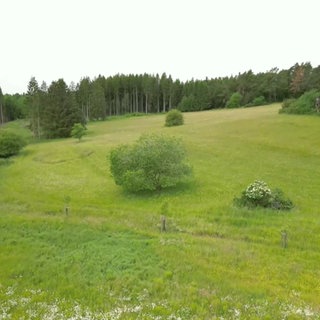 Erfolgreiches Grünland-Projekt in der Eifel