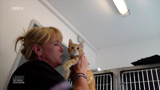 Kirstin Köhler mit Katze