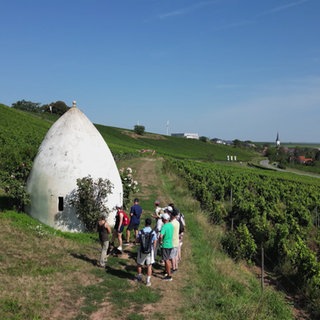 Weinwanderung zu den rheinhessischen Trullos