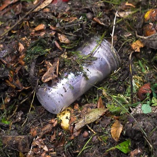 Gegen Plastik im Biomüll
