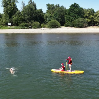 Schwimmerin im Rhein
