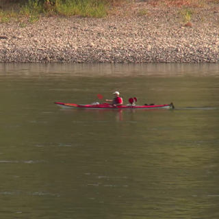 Kajak auf dem Rhein