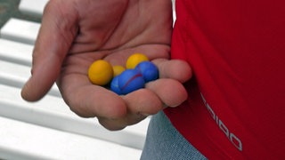 Gelbe und blaue Wettkampf-Murmeln in der Hand eines Murmel-Weltmeisters von den "Sandhasen Murmlern" aus Weisenheim