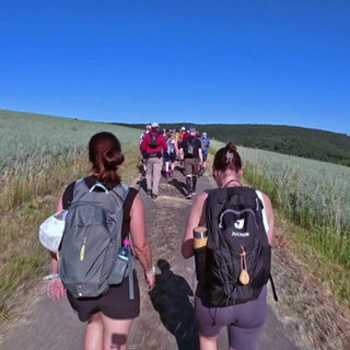 Teilnehmende an der 24-Stunden-Wanderung im Hunsrück laufen auf einem sonnigen Weg zwischen Feldern