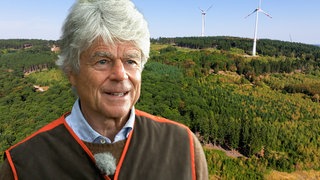 Unsere Wälder: Der Utschenwald bei Stromberg