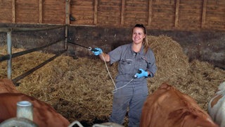 Tierärztin Clara Kresken im Kuhstall bei der Arbeit
