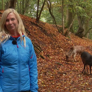 Wetterreporterin Kathrin Illig