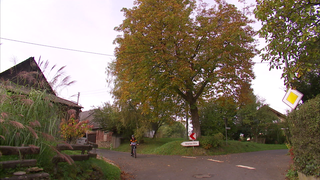 hzl-isert