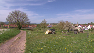Hierzuland Ingenehiem Ortsansicht