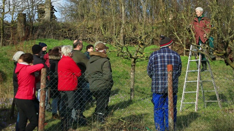 Bärweiler - Vortrag im Freien